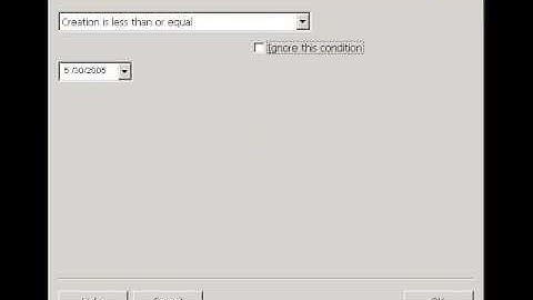 Ask at Runtime Filter Conditions in Stonefield Query