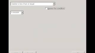 Ask at Runtime Filter Conditions in Stonefield Query