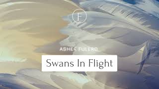 Asher Fulero - Swans In Flight [Piano Music] screenshot 2