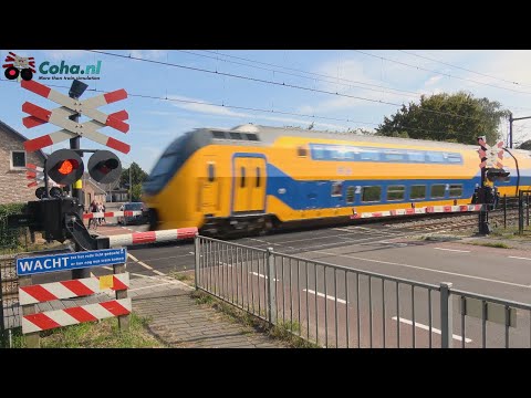 Spoorwegovergang Boxtel ??4K?? // Dutch railroad crossing