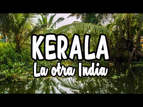 Video: Las 14 mejores cosas para hacer en Kochi, India
