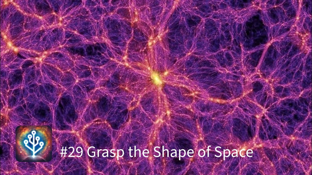 Cell to Singularity Beyond Episode 29: Grasp the Shape of Space