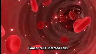 How Nanomedicine Delivers Drugs Directly to Diseased Cells