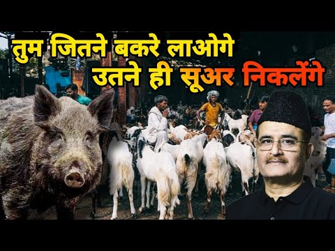 तुम जितने बकरे लाओगे उतने ही सूअर निकलेंगे