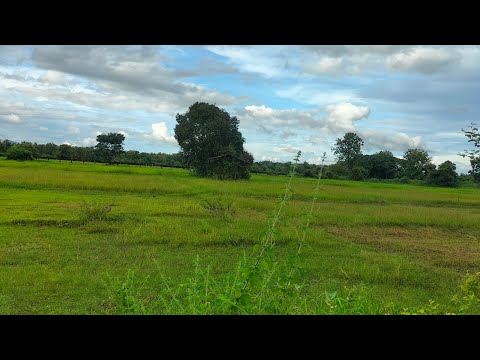 ละอองดาว - ก้อง สหรัฐ (Cover by เบน วิทยา)