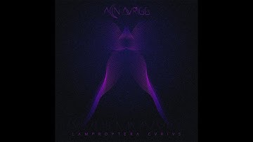 AEN AVRIGG - LAMPROPTERA CVRIVS (XXI.III.MMXXIV)