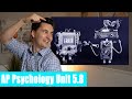 AP Psychology: Biases and Errors in Thinking