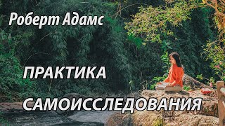 Практика самоисследования (Роберт Адамс, НикОшо)