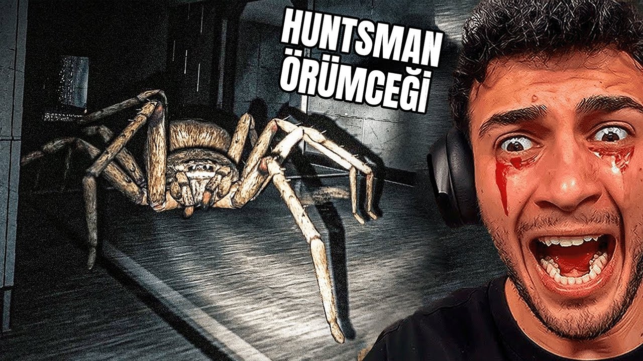 DEVASA ÖRÜMCEKLE AYNI BİNADAYIM! | HUNTSMAN