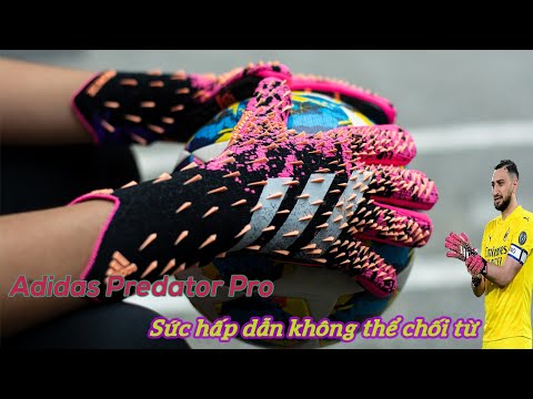 Video Găng tay thủ môn Adidas Predator Pro 2021 - Sức hấp... - youtube