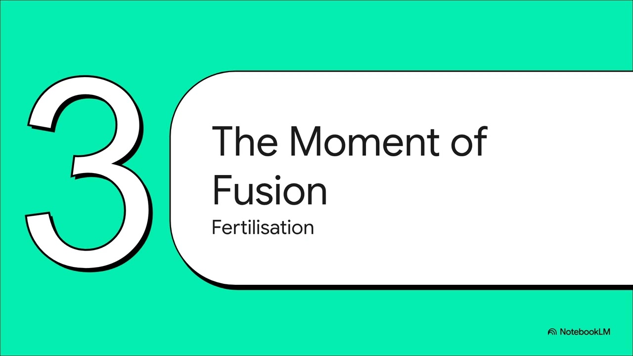 The Blueprint of Life