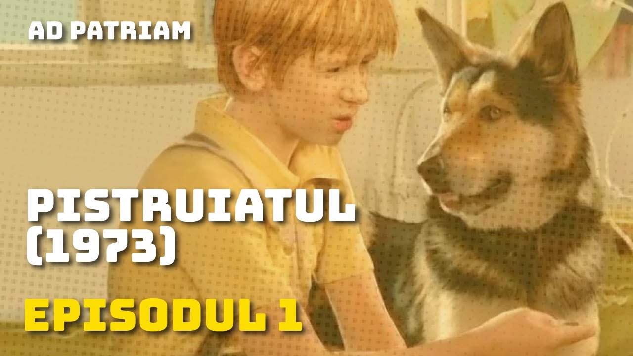 Pistruiatul Evadatul Episodul 1 Full HD YouTube pistruiatul-evadatul-episodul-1-full-hd-youtube