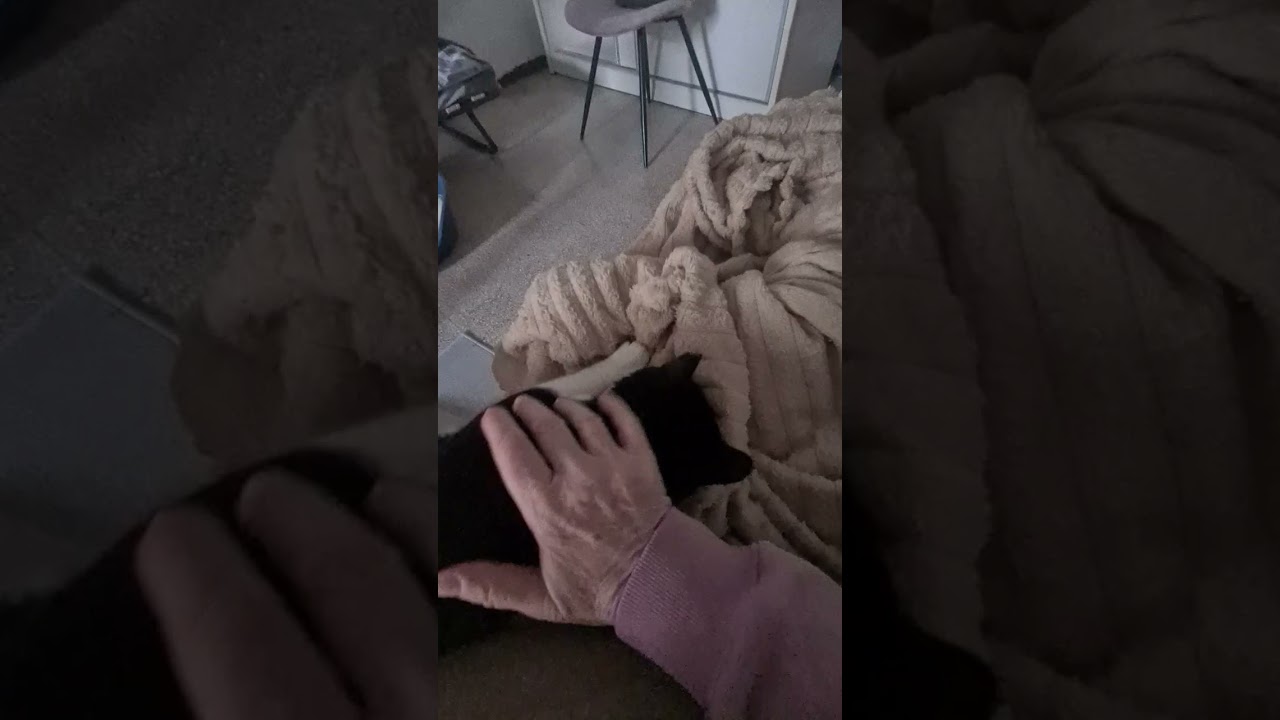 Не забываем мусолить