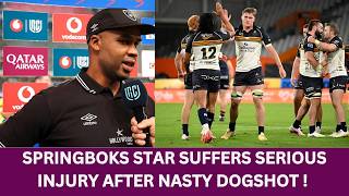 Springboks star suffers serious injury after nasty dogshot #rugby #springboks