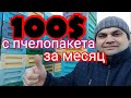 100$ с пчелопакета за месяц на акации. Секреты шестирамочника.