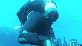 Diving Mallorca with Dive & Fun and Baracudas