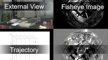 Omnidirectional Photometric Visual Servoing