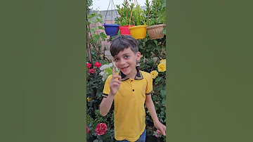 دودي دودي دمدم دودي دودي دم براء وسميرة 