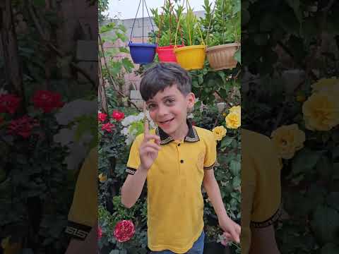 دودي دودي دمدم دودي دودي دم براء وسميرة