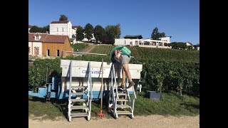 UN VIN  RARE. Réal: Claude ROUTHIAU