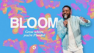 Bloom: Growing Pains