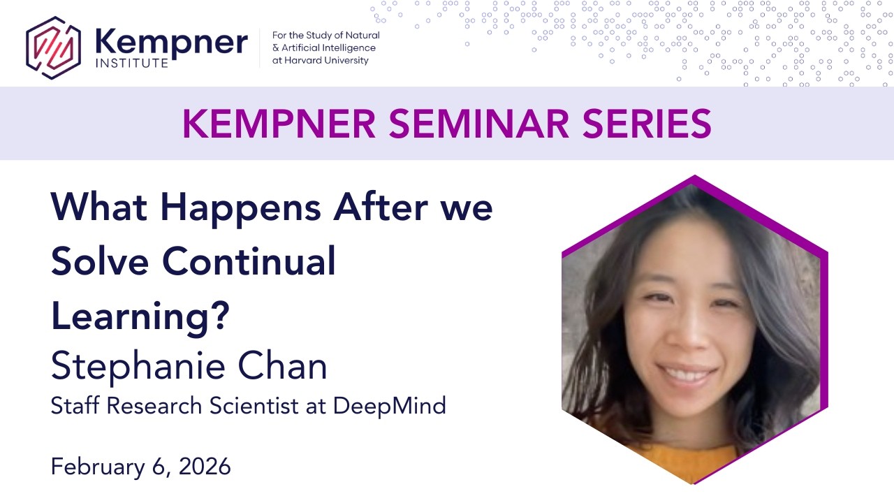 What Happens After We Solve Continual Learning? with Stephanie Chan
