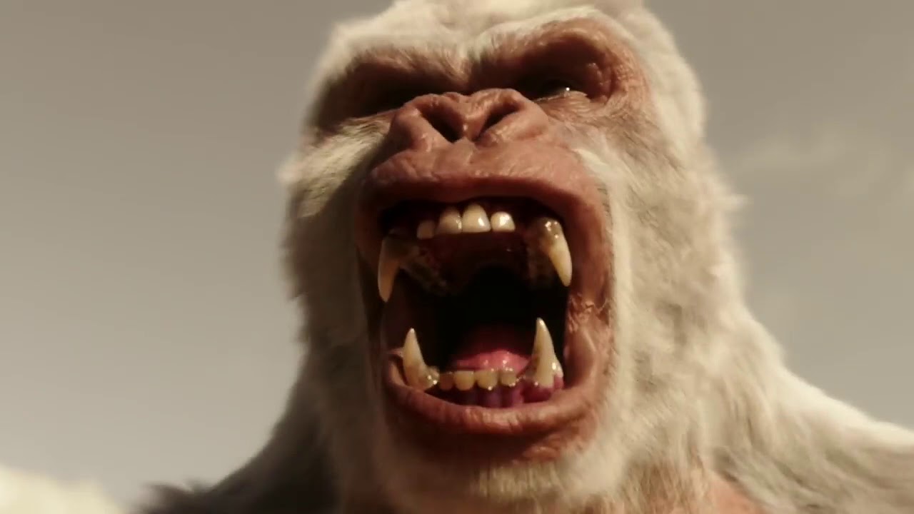 Ver The Flash | Arrow Never Say Never no YouTube Ver The Flash | Arrow Never Say Never no YouTube