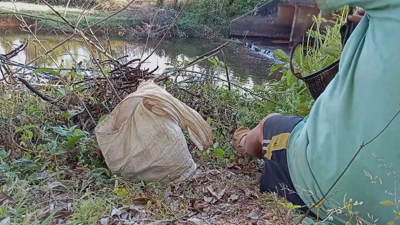 หว่านแห