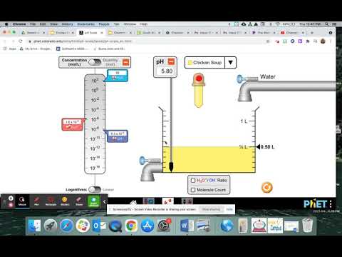Phet pH simulation