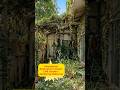 5s Abandoned Backyard to Dream Chill Garden Satisfy #shorts #construction #transformation#chill#DIY