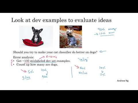 89. Carrying Out Error Analysis