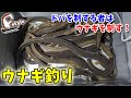 8年間、温存していたウナギポイントに久々に釣りに行ってみたら…
