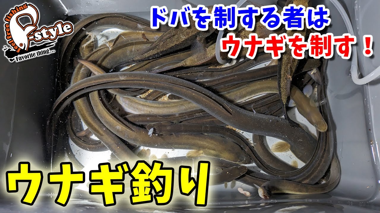 8年間、温存していたウナギポイントに久々に釣りに行ってみたら…