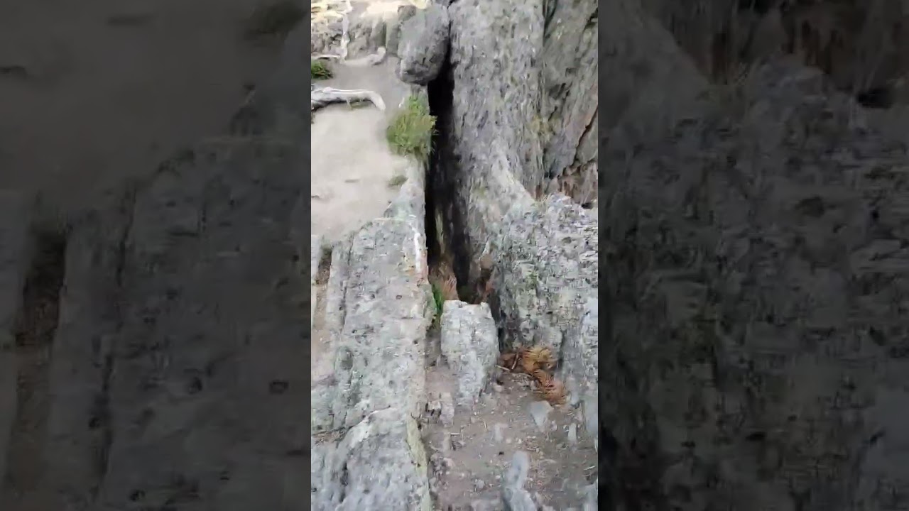 Natural Bridge Trail 