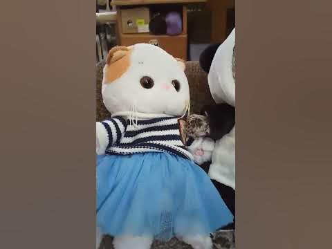 басики - YouTube