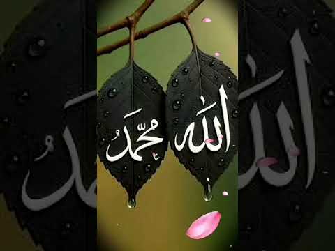 #love #alahazratkalambyowaisrazaqadri #answer