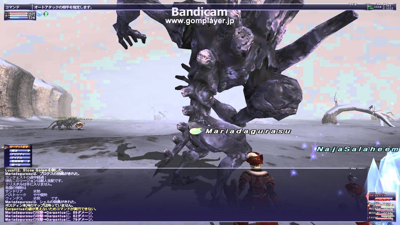 Ff11メイジャンの試練武器系：片手剣no153gargantua×4 ボスディン氷河 Youtube 