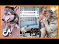 Try Not to Laugh While Watching The CUTEST Animal Videos | Tik Tok Animals Reaction Compilation