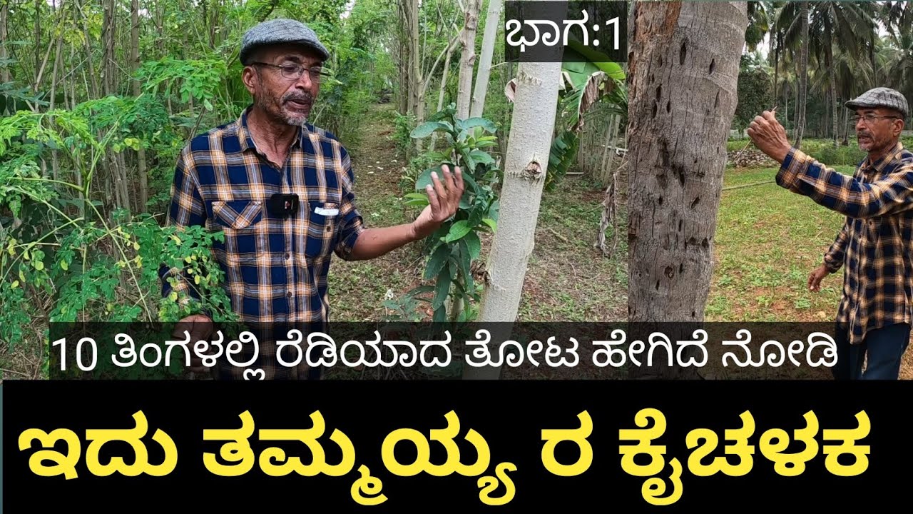 ಒಂದು ಎಕರೆಯಲ್ಲಿ ತಮ್ಮಯ ರವರು ಯಾಕೆ ಇಷ್ಟೊಂದು ಗಿಡಗಳನ್ನು ಹಾಕ್ತಾರೆ ಅಂತ ನಿಮಗ್ ಅನ್ಸಿದ್ಯಾ.ಅದಕ್ಕೆ ಉತ್ತರ ಇಲ್ಲಿದೆ
