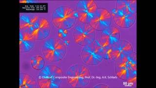 CCe | Spherulite growth of PP