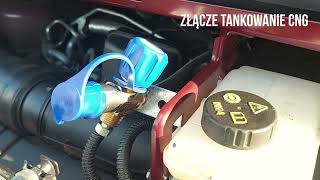 Adaptacja Renault Trafic 1 6dci na zasilanie gazowe Dual Fuel CNG