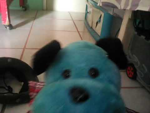 Lebijski video