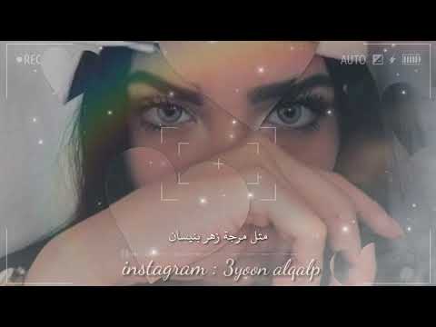 نامي على الهدا ملحم زين