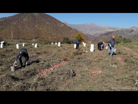 Сельское хозяйство осетии. Село Котанто Южная Осетия. Село ЦРУ Южная Осетия. Южная Осетия сельское хозяйство. Деревня Южной Осетии Котанто.