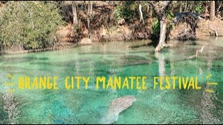 Blue Spring Manatee festival 2019