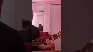 Uzak Yol Cover