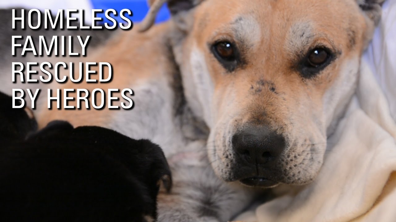 Homeless Family Rescued by Heroes - YouTube