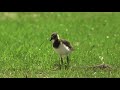 Life On The Machair Official 2018 WCFF Trailer 