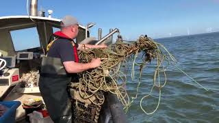 Rescuing the hit crab pots, total carnage, but a crab and a codling for tea! Boat Sea fishing