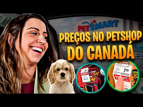 Vídeo: Benefícios da propriedade de animais de estimação para os idosos